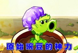 娱乐吃瓜酱豌豆射手